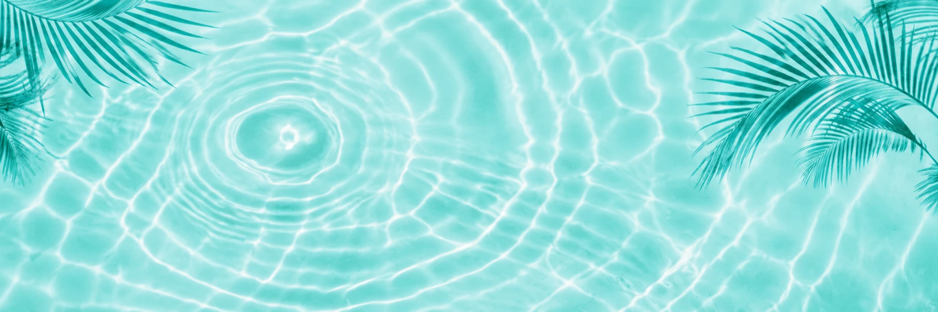Palm fronds framing rippling aqua water